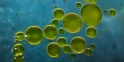 Вода в косметиці - для чого вона потрібна і чи потрібна взагалі (вода) Вода в косметиці - для чого вона потрібна і чи потрібна взагалі