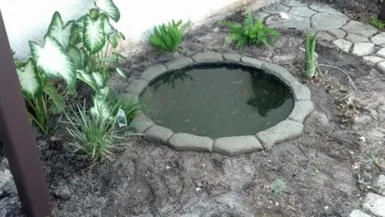 Водоймище на дачі оформлення своїми руками, особливо ландшафтного дизайну фото