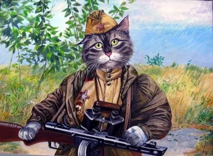 Військові (і не тільки) коти художника олександра Завалій (коти) Військові (і не тільки) коти художника олександра Завалій
