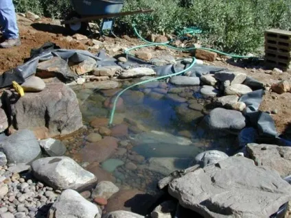Водоймище на дачі оформлення своїми руками, особливо ландшафтного дизайну фото