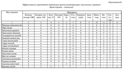 Обробіток цукрового буряка