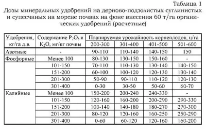 Обробіток цукрового буряка