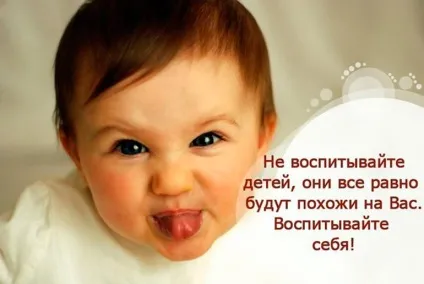 Виховую, як вважаю за потрібне! Або 5 міфів виховання (виховання) Виховую, як вважаю за потрібне! Або 5 міфів виховання