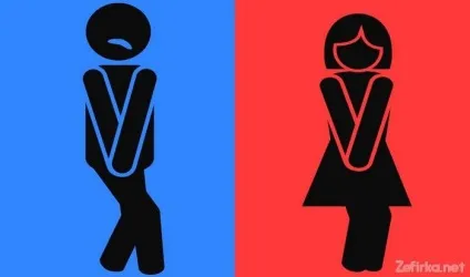 В шоці - все, що ви хотіли знати про космос, але боялися запитати! (мир) В шоці - все, що ви хотіли знати про космос, але боялися запитати!