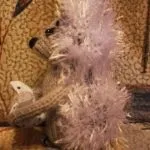 В'язана іграшка їжачок спицями