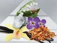 Wella color recharge