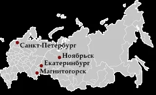 Доросла кішка в будинку (адаптація) (дорослої кішки кота) Доросла кішка в будинку (адаптація)