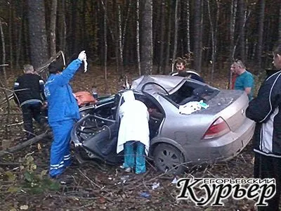 Зустріч з лісовими тваринами - удача чи небезпека Єгор'євський кур'єр (небезпека) Зустріч з лісовими тваринами - удача чи небезпека Єгор'євський кур'єр