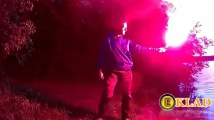 Зустріч з дикими тваринами, шукання скарбів від а до я (ліс) Зустріч з дикими тваринами, шукання скарбів від а до я