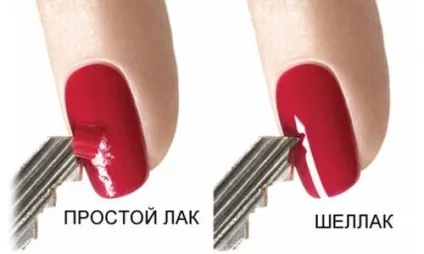 Вся палітра шелак квітів на нігтях (фото і відео) (відповідно модними тенденціями) Вся палітра шелак квітів на нігтях (фото і відео)