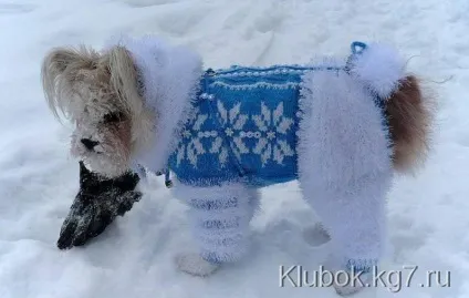 В'яжемо разом для собачок майстер-клас з в'язання комбінезона (відміряє ставимо крапку) В'яжемо разом для собачок майстер-клас з в'язання комбінезона