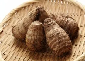 Хікама склад, калорійність, користь, рецепти (рецепти з хікамой) Хікама склад, калорійність, користь, рецепти