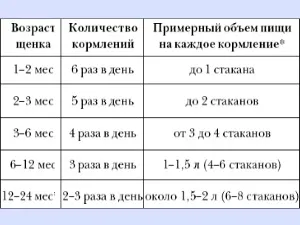 Характеристика породи доберман (Фрідріх Луїс Доберман) Характеристика породи доберман