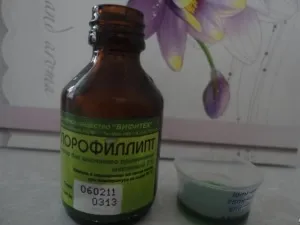 Хлорофіліпт масляний для носа і горла (хлорофиллипт масляний інструкція ніс горло застосування нежить капати промивання) Хлорофіліпт масляний для носа і горла