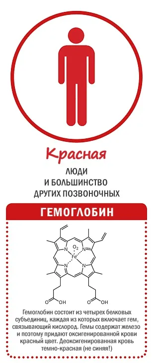 Хімія різнобарвною крові