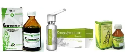Хлорофіліпт »- свідчення і інструкція із застосування, ціна, аналоги, відгуки (хлорофиллипт показання до застосування) Хлорофіліпт »- свідчення і інструкція із застосування, ціна, аналоги, відгуки