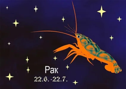 Характер дітей по знаку зодіаку знаки зодіаку для дітей (знаки) Характер дітей по знаку зодіаку знаки зодіаку для дітей