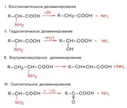 Хімічні властивості