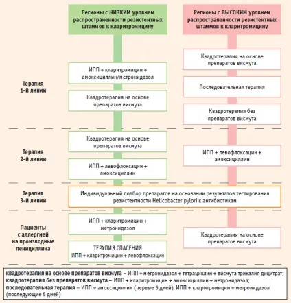 Хелікобактер пілорі (helicobacter pylori) (манометр) Хелікобактер пілорі (helicobacter pylori)