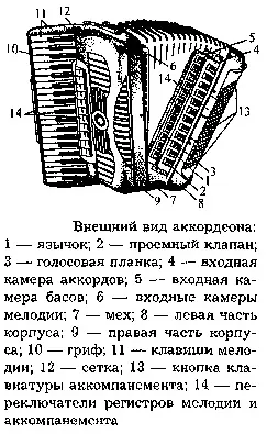 Язичкові музичні інструменти