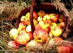 Яблучний спас - історія свята
