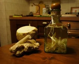 Хреновуха рецепт з горілки, спирту, самогону зі спеціями (хреновуха рецепт настоянка горілка спирт самогон) Хреновуха рецепт з горілки, спирту, самогону зі спеціями