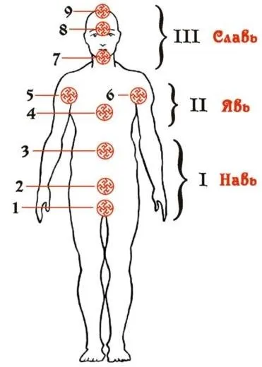 Яв, права, правила нав, слав