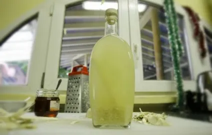 Хреновуха на самогоні, з горілки, на спирту домашні рецепти (хреновуха) Хреновуха на самогоні, з горілки, на спирту домашні рецепти