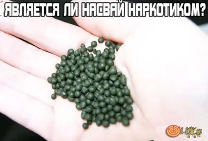 Чи є насвай наркотиком чи входить він до переліку заборонених наркотичних препаратів вУкаіни (наркотиком) Чи є насвай наркотиком чи входить він до переліку заборонених наркотичних препаратів вУкаіни