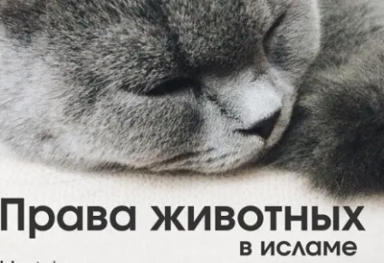 Я дотримує мусульманка