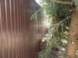 Огорожа з штахетника від компанії фіркон (паркан) Огорожа з штахетника від компанії фіркон