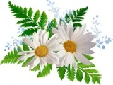Загадки про тварин з відповідями (загадки) Загадки про тварин з відповідями