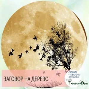 Змова якщо терміново потрібні гроші на дерево, монети і сірники (потрібні) Змова якщо терміново потрібні гроші на дерево, монети і сірники