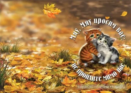 Загадкові сині коти Ірини Зенюк