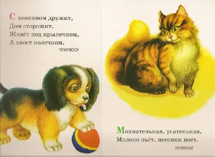 Загадки про кішку і собаку (кішку) Загадки про кішку і собаку