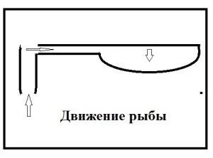 Замор риби або «придухи»