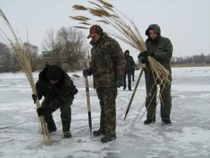 Замор риби або «придухи»