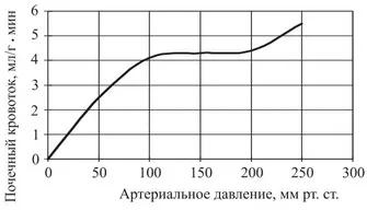 Нирки людини, їх будова