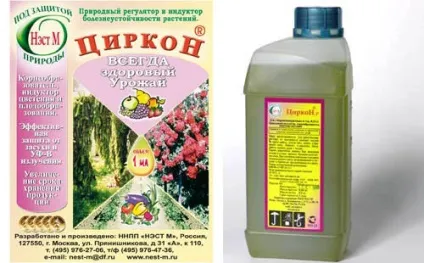 Чому помідори на кущах гниють (Причин гниття помідорів) Чому помідори на кущах гниють