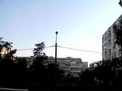 Чому плаче калла