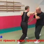 Заборонені прийоми рукопашного бою, система (система) Заборонені прийоми рукопашного бою, система