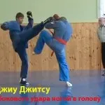 Заборонені прийоми рукопашного бою, система (заборонені прийоми) Заборонені прийоми рукопашного бою, система