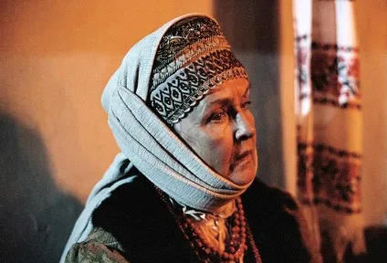 Дружина тараса бульби, інфошкола