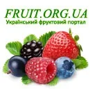 Журнал «напої