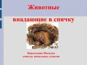 Тварини, що впадають в сплячку взимку
