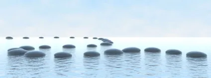 Життєві стратегії та принципи життя що це таке (життя) Життєві стратегії та принципи життя що це таке
