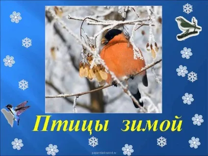 Тварини, що впадають в сплячку взимку