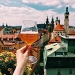 Знайомтеся з кудлатою свинею, яка виглядає як вівця, а веде себе як собака! (Собака) Знайомтеся з кудлатою свинею, яка виглядає як вівця, а веде себе як собака!