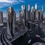 Знайомтеся з кудлатою свинею, яка виглядає як вівця, а веде себе як собака! (Собака) Знайомтеся з кудлатою свинею, яка виглядає як вівця, а веде себе як собака!