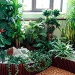 Зимовий сад в будинку (42 фото) особливості інтер'єру, як доглядати взимку, фото і відео (зимовий сад в будинку як доглядати взимку) Зимовий сад в будинку (42 фото) особливості інтер'єру, як доглядати взимку, фото і відео